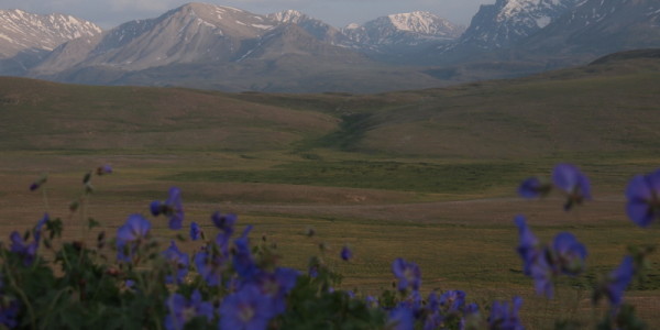 Deosai Plateau Panorama