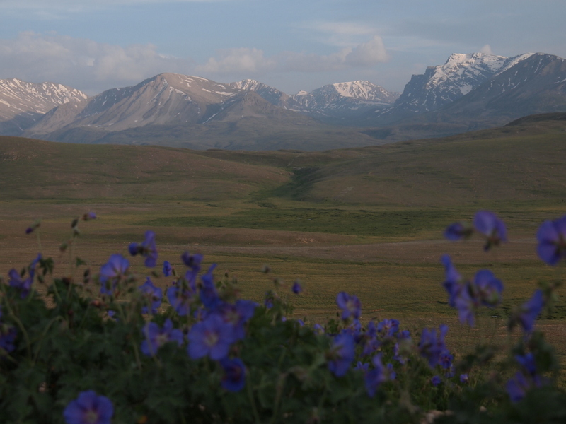 Deosai Plateau Panorama